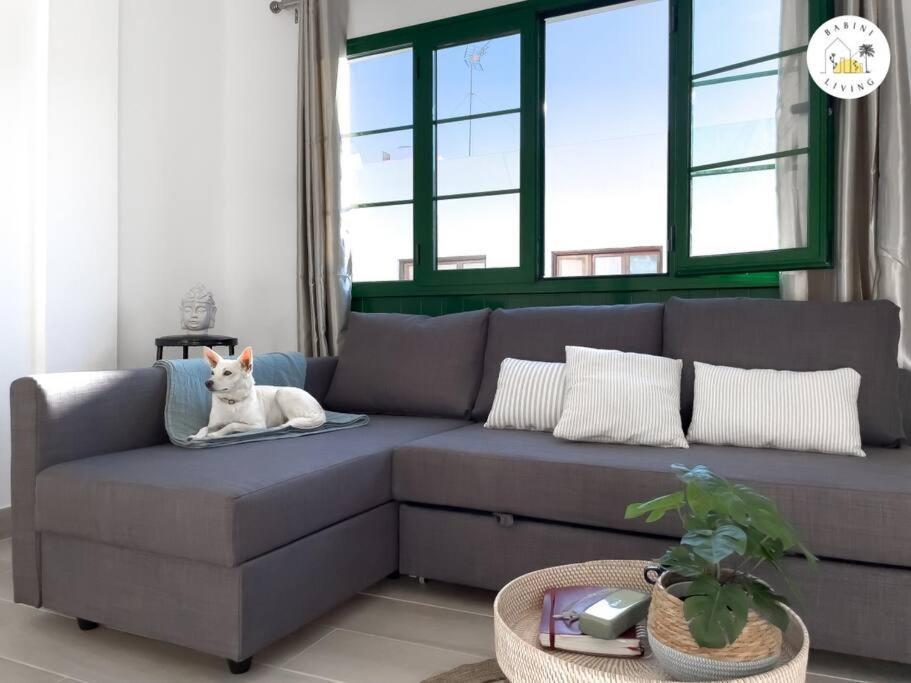 Casa Alicia Central Town By Babiniliving Corralejo Dış mekan fotoğraf